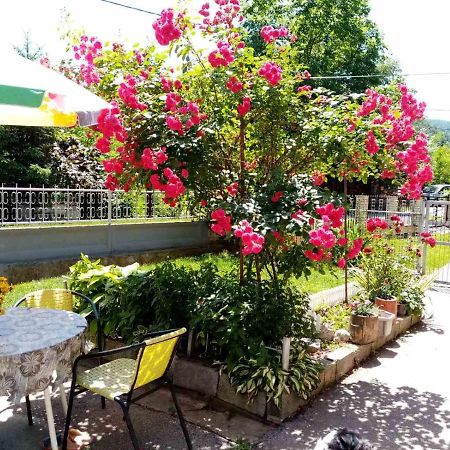 Apartman Vesna Ovcar Banja Exterior foto