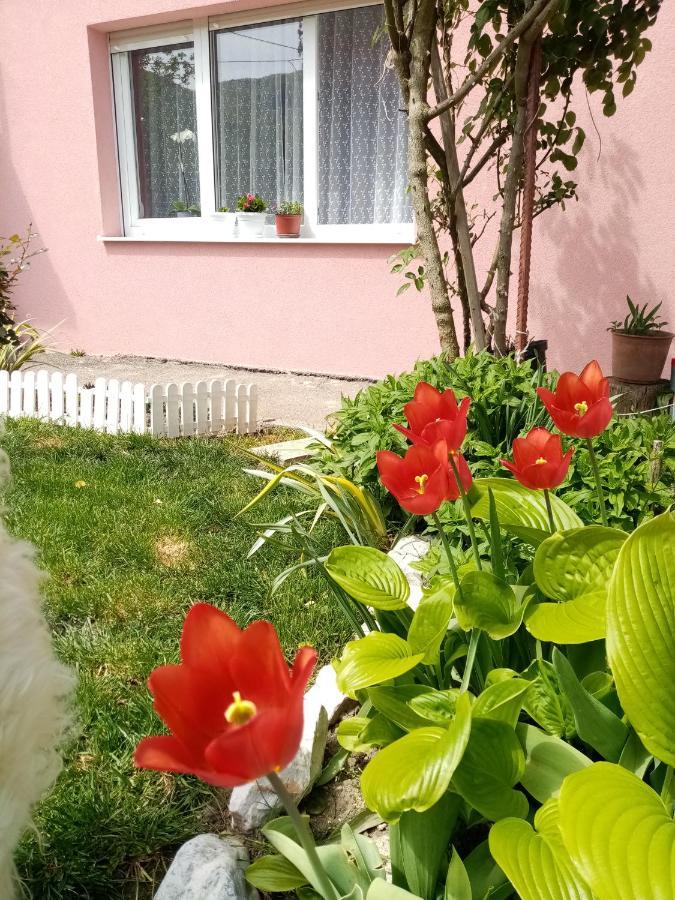 Apartman Vesna Ovcar Banja Exterior foto