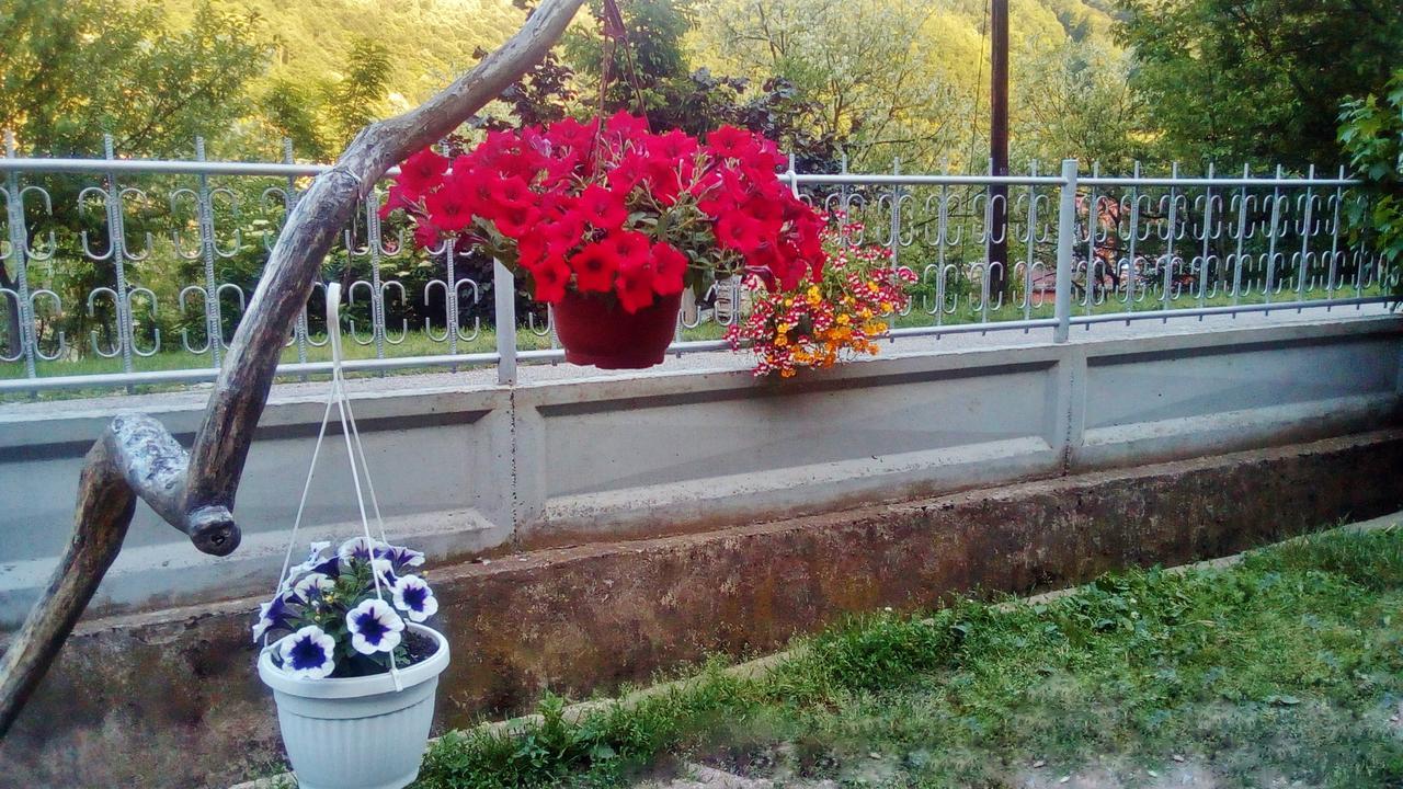 Apartman Vesna Ovcar Banja Exterior foto